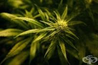 �������������� �� ��� ������: ��������� ����� ������ ������