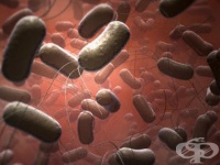 ����� ������� ������������� �� ������� ���� ��������� � ���������