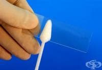 ����� ���� ��� ������ �� ���� �� �������� ����� �� ��� �� �������