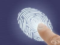 ��������� �� ������������ � ������� � ������� ������������� ���� ������ ��������