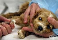 ������� � ������ ������� �� ��������� ������� ������ ����� � ������