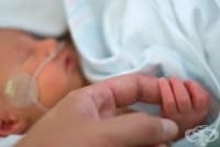 �������� � �� ���� �� ������� ����� �� ������� � ���������� ��������� � ������