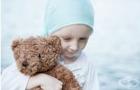 ����� ���� ������ �� � �������� ���������� �� ���������� 20 ������