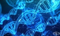 Мутации в микро РНК молекули увеличават вероятността от развитие на рак на яйчниците