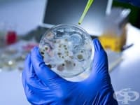 �����: �������� � ����� ������ �� �� ���� �������