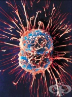 ����������� KG5 ����� �������������� �� �������� ������