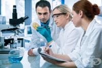 ����������� ����� �� ��������������� �� ��� ���� � ����� ����