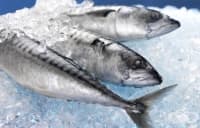 ����, ������� ����� ����������� "��������", � � � ������ ��������