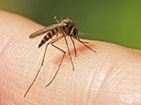 �������� ������ �� ����������������� �� ���� � ������