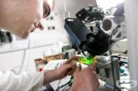 ���� ������ ������� ���� ����������, ������ �� ���������