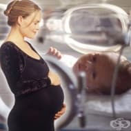 ����������� ������ ������� ������ ����� � ��������� �� ������ �� ���������������