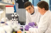 �������� ������ � ������� � ���� ��������� �����