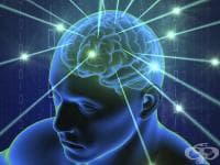 ������� ������������ ������� �� ������������