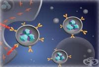 �� �������� ��� � ����� ������ � ������������