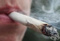 ���������� �������� ���� �� ���� ��� ���� ���� �����