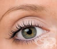 �������� ���� �� ���������� ��������� � ������� ����� ������ �����������