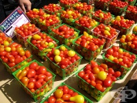 ���� ��� ����� �����������, ������������ � ����������� �����