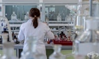 Вещества, открити в екстракта от кудзу и соя могат да помогнат за лечението на три вида рак