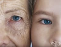 ���������� � �� ����� ������� �� ����������