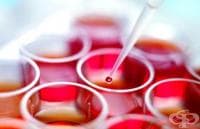 ����� �������������� ������� �������� ������ � ������