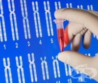 ��� ������ ��������� ��������� ���������� ���������� ������ �� ������ ��