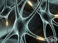 ���� ������� ���������� ������� �� ��������������� ���������