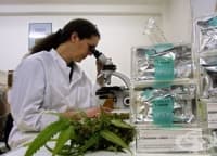 ����� ���������� ��������� �������� ������������� ��������