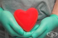 ��������� �� ����� �� ���������������� � ��������