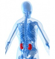 850 ���� �� � ������������ ����� �� �������� �� �������� ��������������