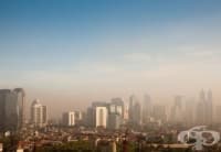 ����� ������� ������ ����� �������������� � ������������ �����������