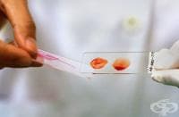 ����� � ���������� ������: ��������� �������, ������ 9 �� 10 ���� ���