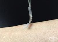 ���� ������� ������ ����������� ���������� �������� �� �����������