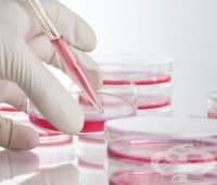 ������� ����� ������� ��������� � ������� �� ���������� ������ �������