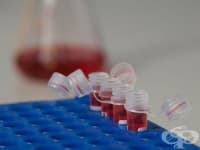 � ���� ��������� ������� ������� ������ ��� �� ����� ����