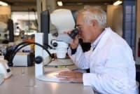 ������� �������� ������ �� ����������� �� ������� ����� ����