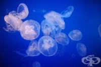 �������� � ����� ���� �� �� �����������, �� �� ������