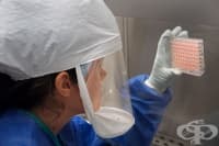 ��������� �������� ���� �� ���������� �����������