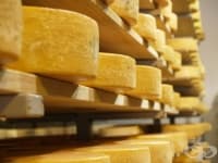 ����� � ���� ������, ���������� �������������� ������������ �� ������ � ��������� ��������