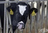 ��� ������ ������� ������ �� ���������� ����� � ������� �� ����� �����������