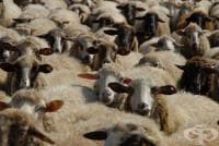 ��������� ���� ����� ������ �� ������� � ��������