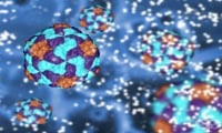 Огнища на вирусен хепатит А са установени в шест страни от ЕС и във Великобритания