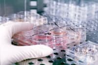 ����������� ����� ������