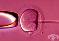 ��������������� - 10 ���� ��-������ ���� 40