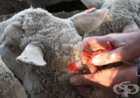 �������� ������ �� ���������� ������ ����� ������������ ��� ����