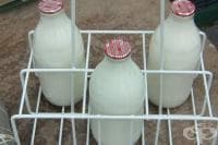 �������� �������� ����� �������� �������� �� �����