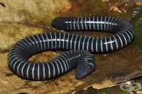 �������� ���������� �� �������� ��� ��������� �� ������