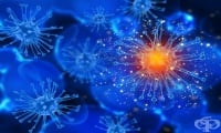 Колко опасен е зомби вирусът и може ли да доведе до пандемия