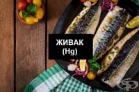 Живак – полезни свойства, опасности и хранителни източници