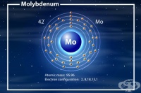 Молибден - роля в човешкото тяло и хранителни източници