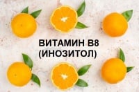 Витамин В 8 (инозитол, инозит)